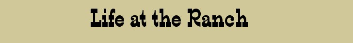 ranchbanner.jpg